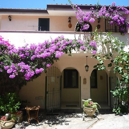 Villa Panthea Capo Vaticano Exteriér fotografie