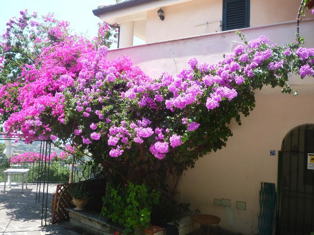 Villa Panthea Capo Vaticano Exteriér fotografie